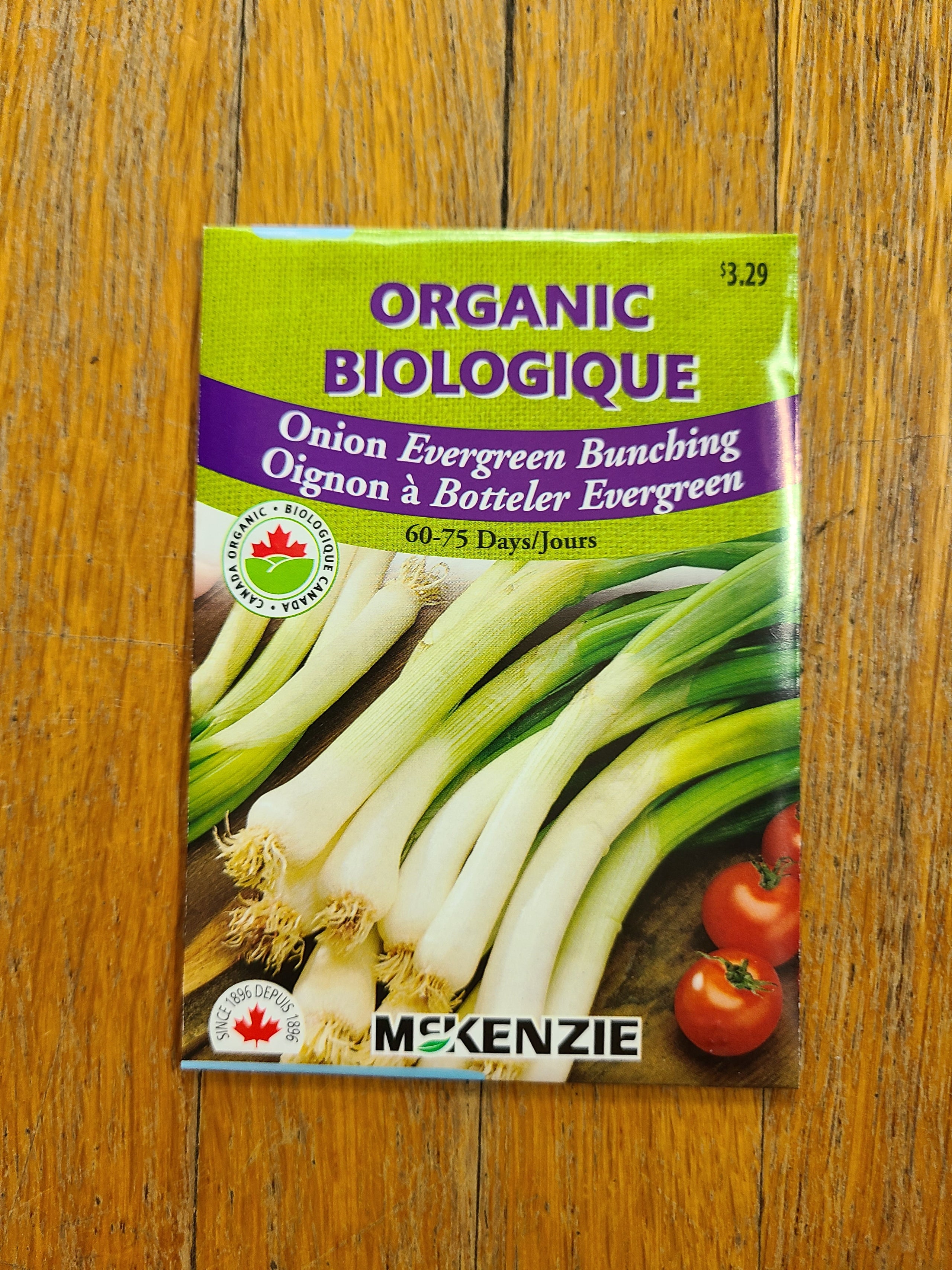 Organic Onion Evergreen Bunching Mckenzie Seeds Plants On Plants On organic-onion-evergreen-bunching-mckenzie-seeds-plants-on-plants-on